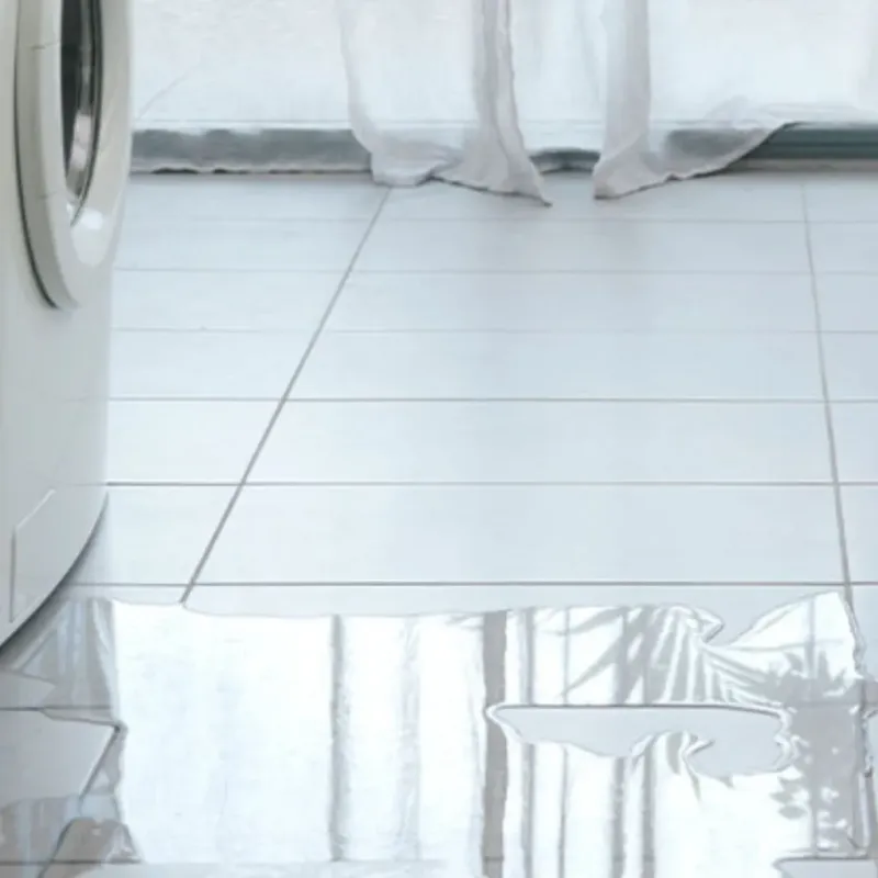 Appliance Leak Cleanup in Glassport, PA