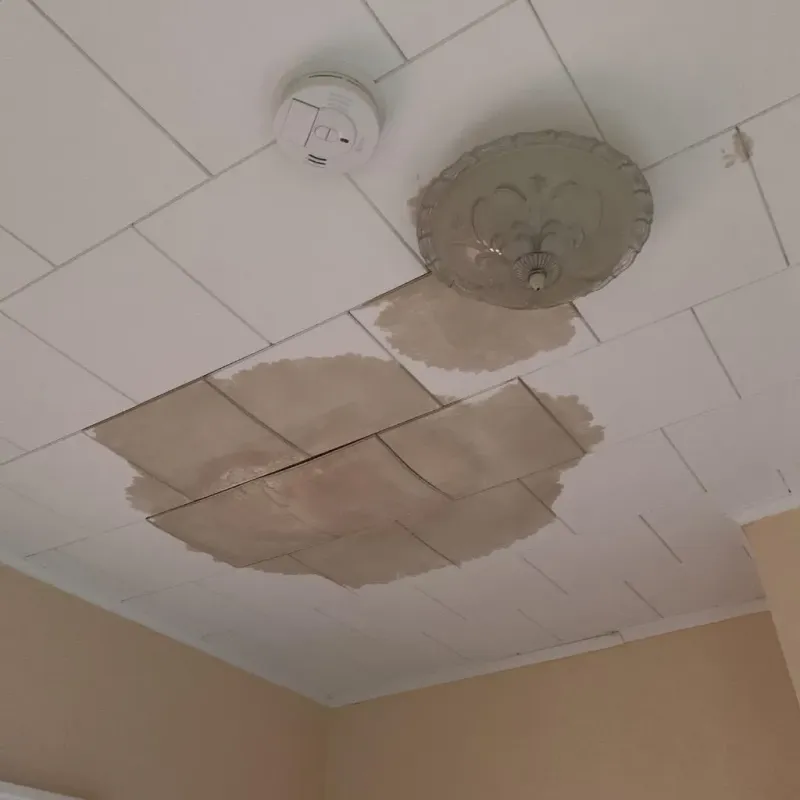Ceiling Water Damage Repair in Glassport, PA