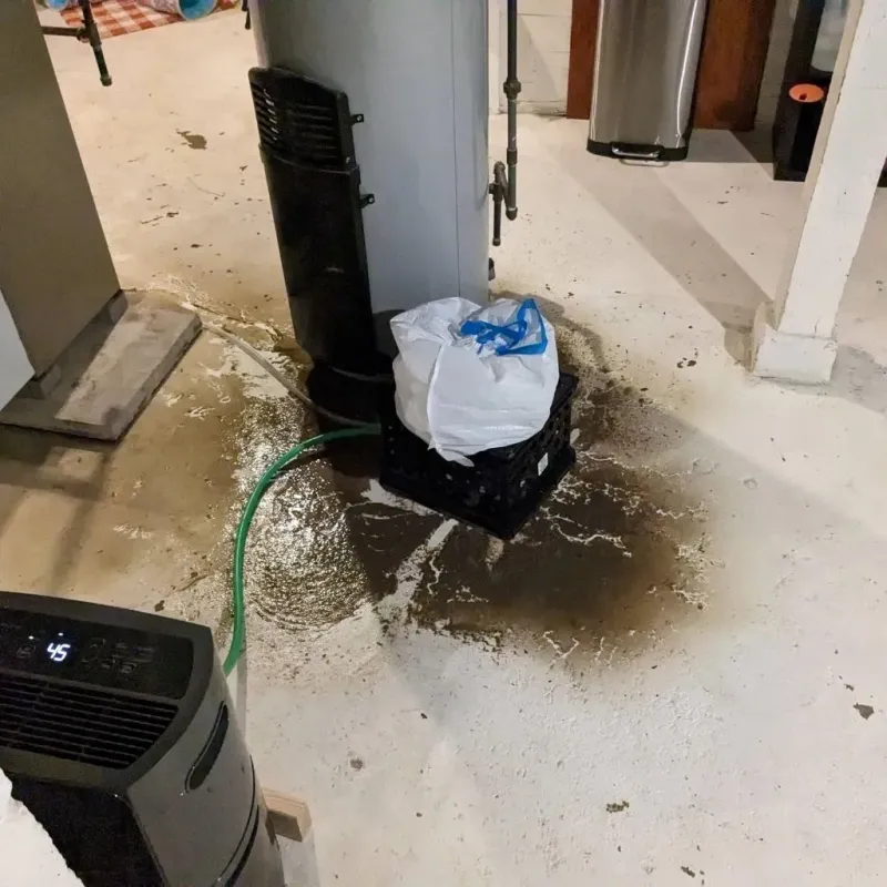 Sewage Backup Cleanup Service in Glassport, PA